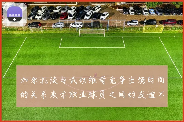 加尔扎谈与武切维奇竞争出场时间的关系表示职业球员之间的友谊不受影响